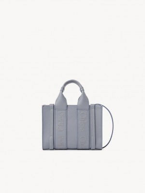 Chloe Mini Woody Crossbodytassen Blauw | CHE-SR13596