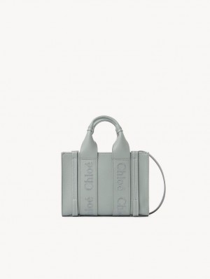Chloe Mini Woody Crossbodytassen Groen | CHE-SR13597