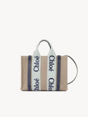Chloe Small Woody Crossbodytassen Groen Blauw | CHE-SR13568
