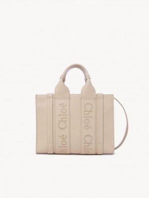 Chloe Small Woody Tote Tassen Roze | CHE-SR13374