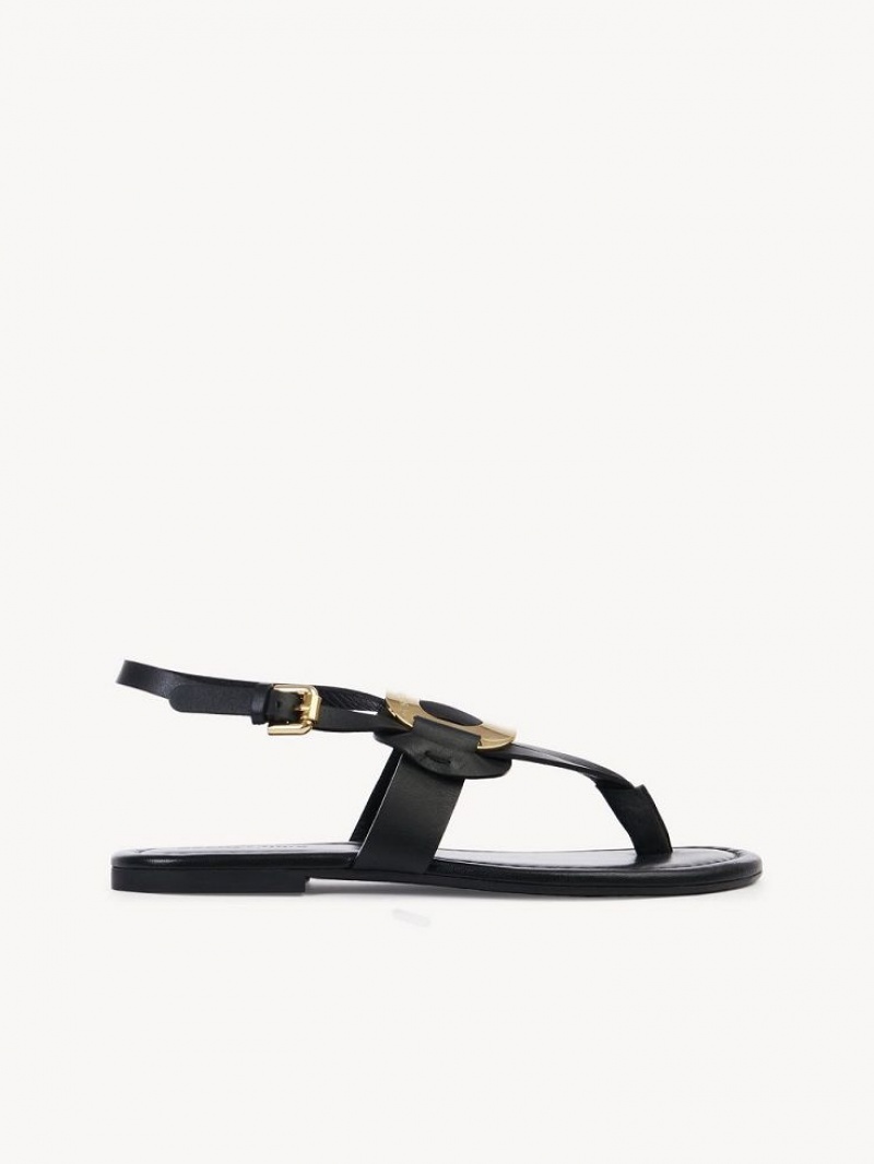 Chloe Chany Sandalen Zwart | CHE-SR14844