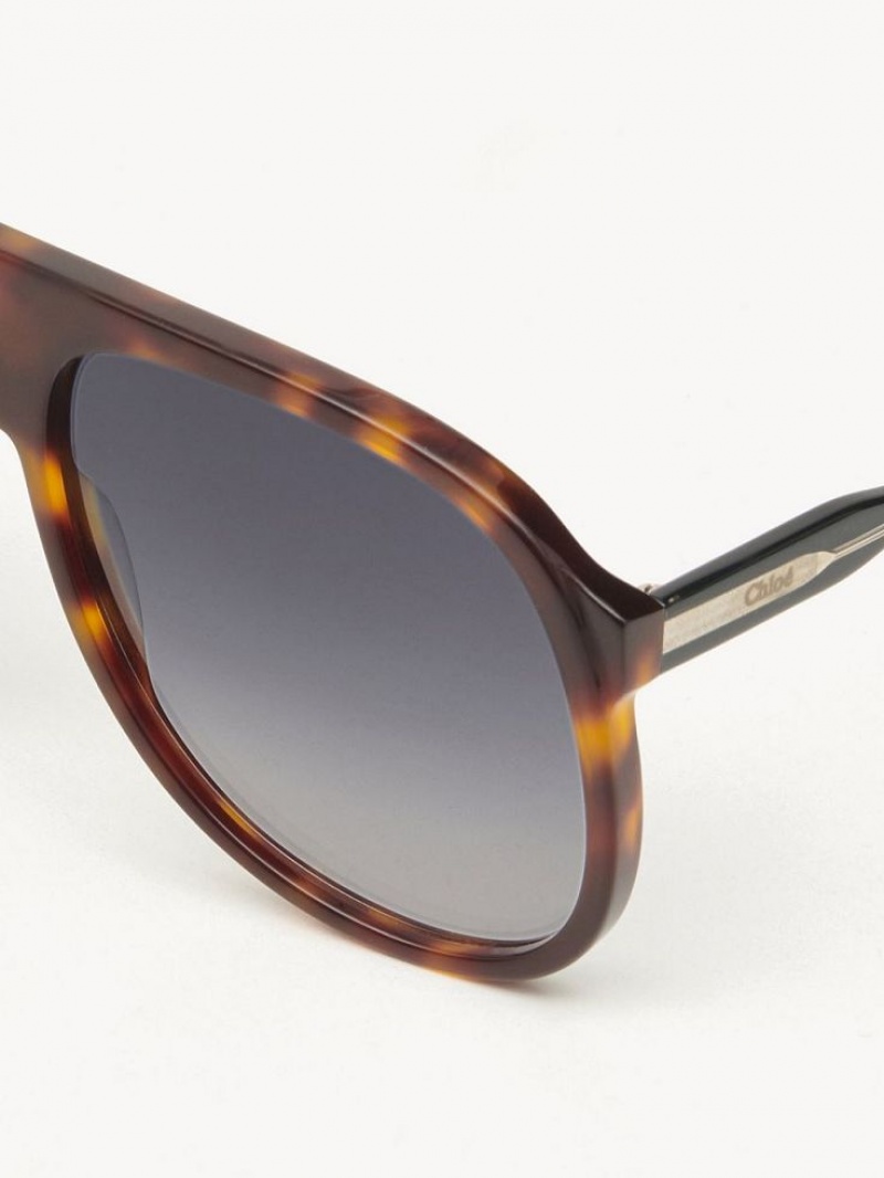 Chloe Dannie Zonnebril Zwart | CHE-SR14569