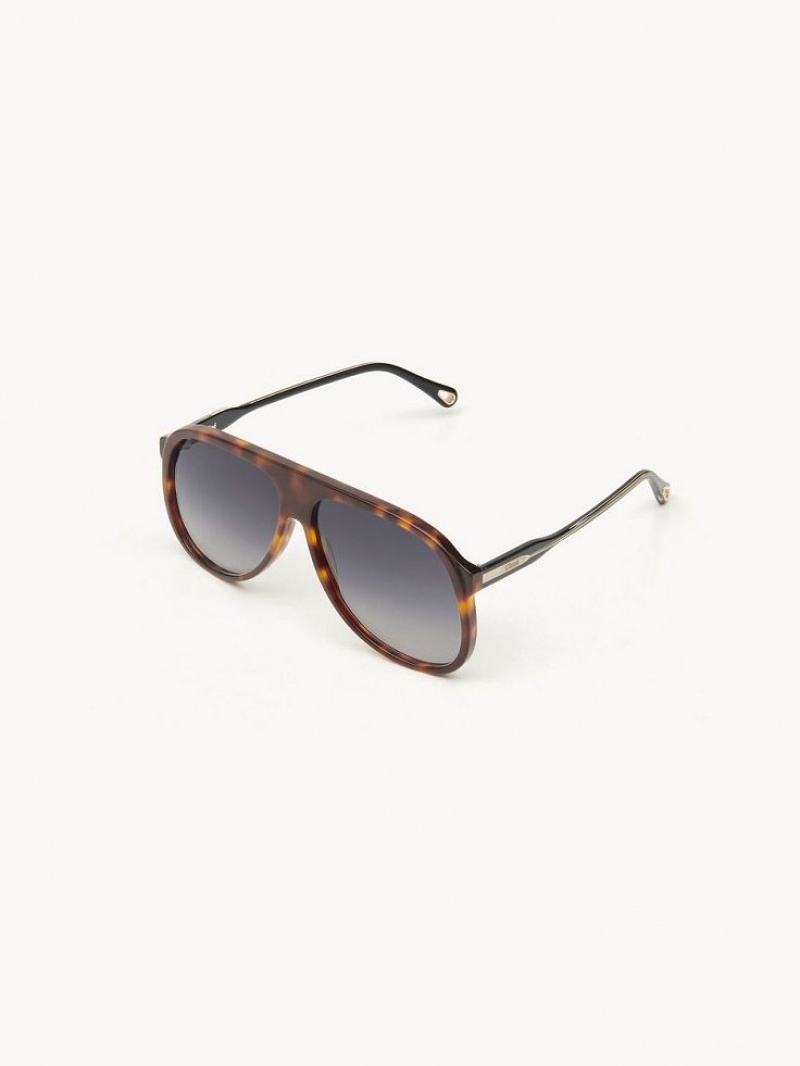 Chloe Dannie Zonnebril Zwart | CHE-SR14569