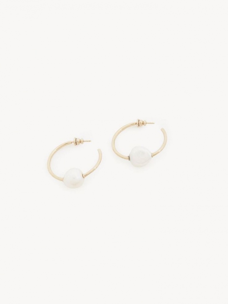 Chloe Darcey Hoop Oorbellen Goud Wit | CHE-SR14441