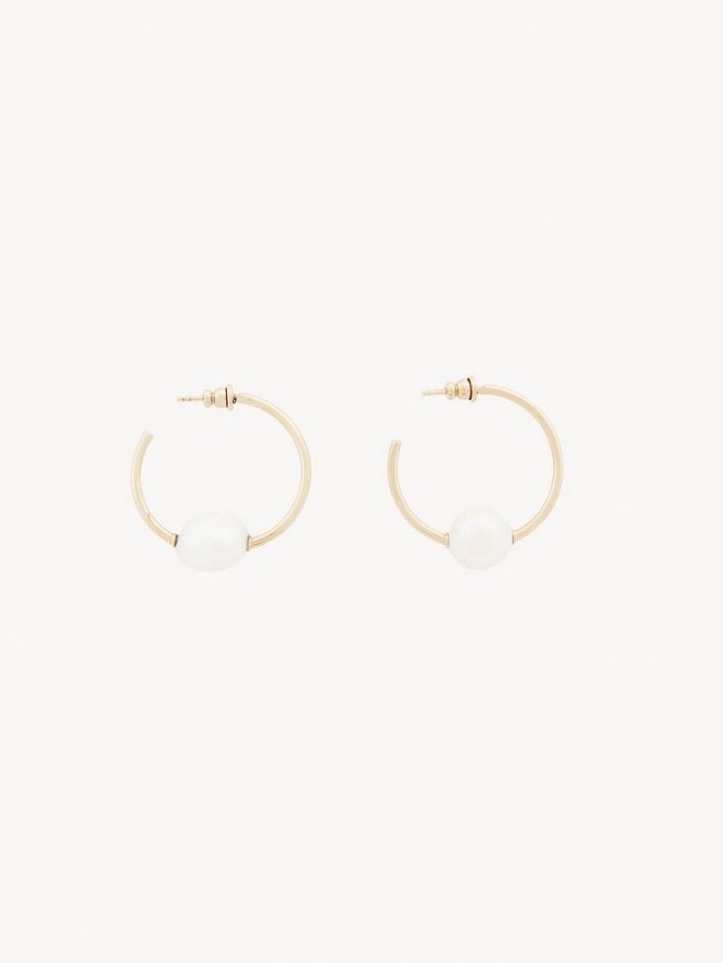 Chloe Darcey Hoop Oorbellen Goud Wit | CHE-SR14441