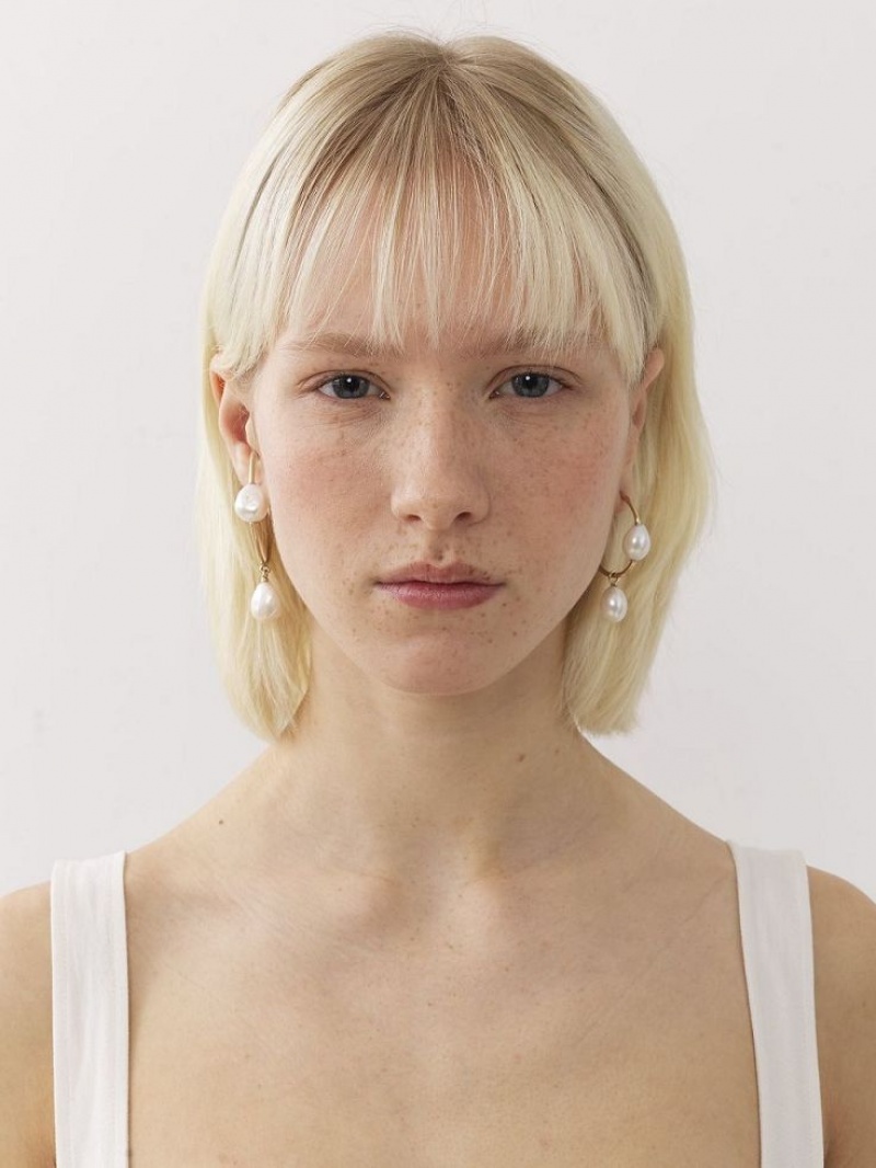 Chloe Darcey Hoop Oorbellen Goud Wit | CHE-SR14442