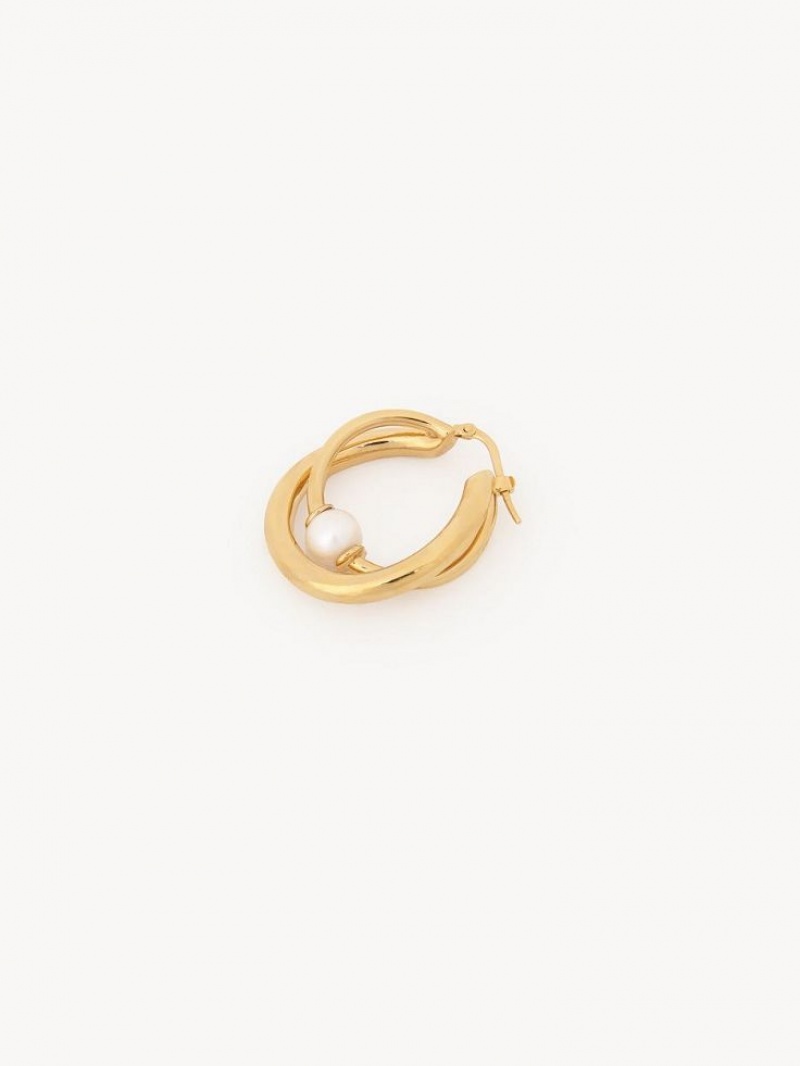 Chloe Darcey Hoop Oorbellen Lichtgoud | CHE-SR14456