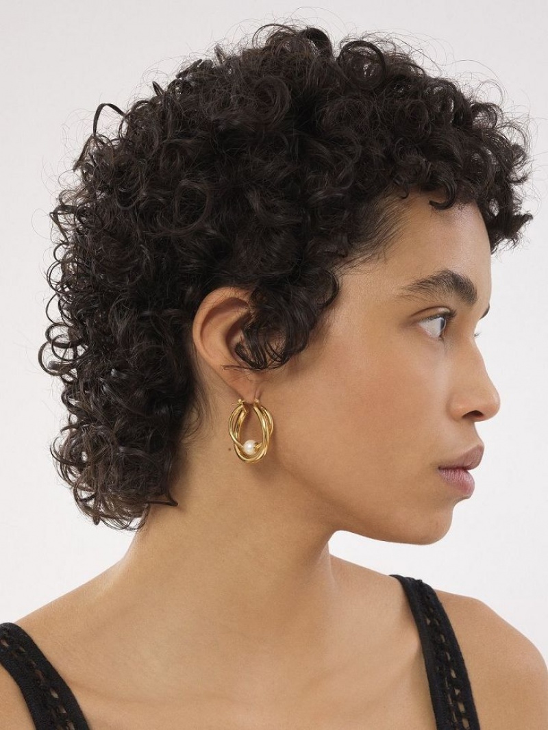 Chloe Darcey Hoop Oorbellen Lichtgoud | CHE-SR14456
