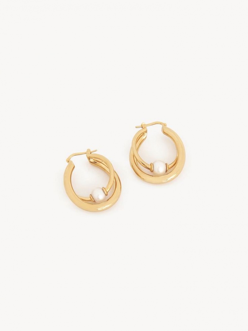 Chloe Darcey Hoop Oorbellen Lichtgoud | CHE-SR14456