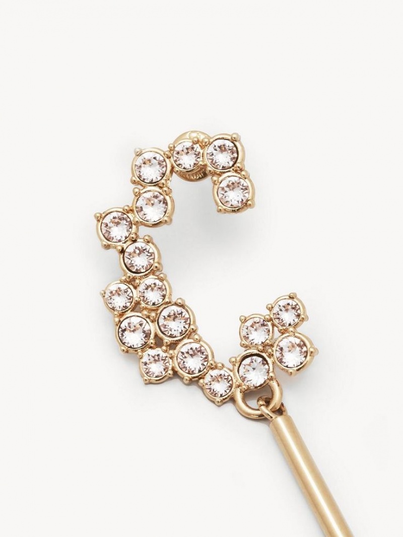 Chloe Darcey Oorbellen Goud | CHE-SR14358