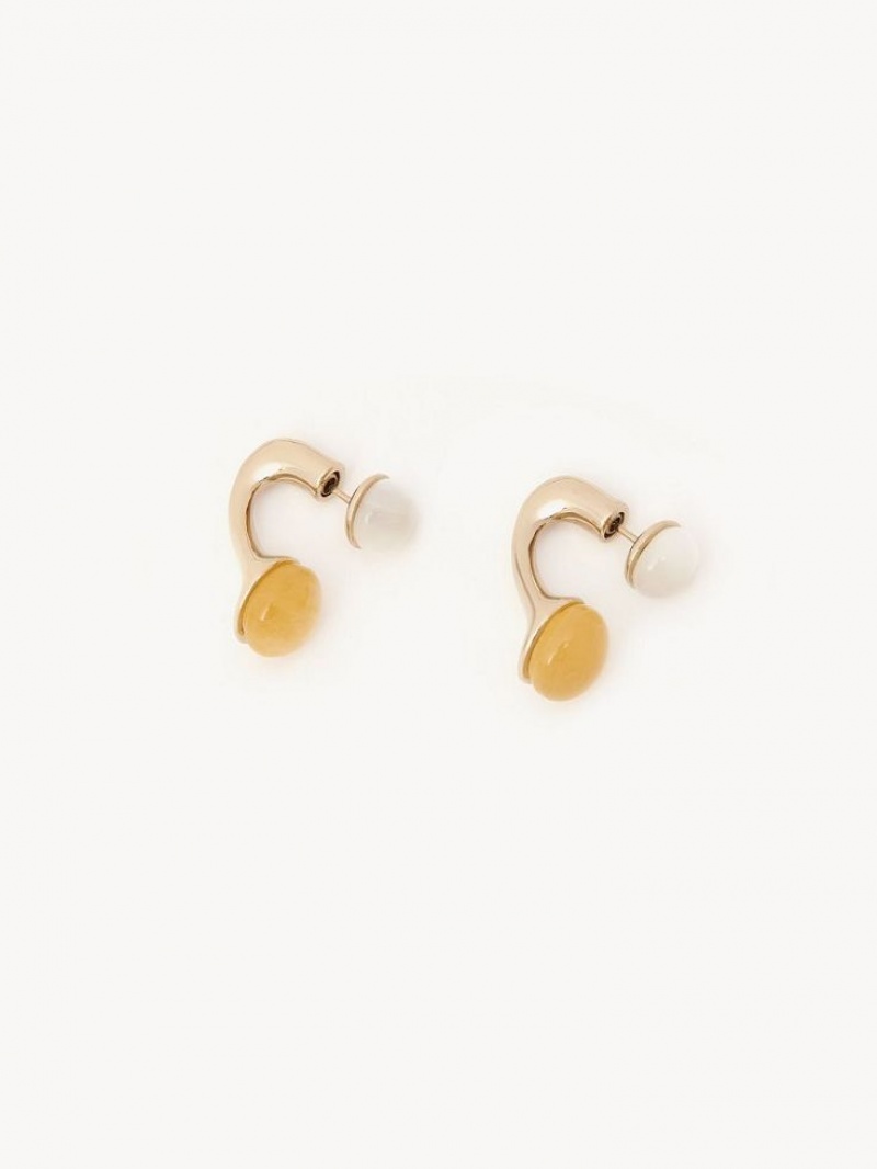 Chloe Darcey Oorbellen Goud | CHE-SR14411
