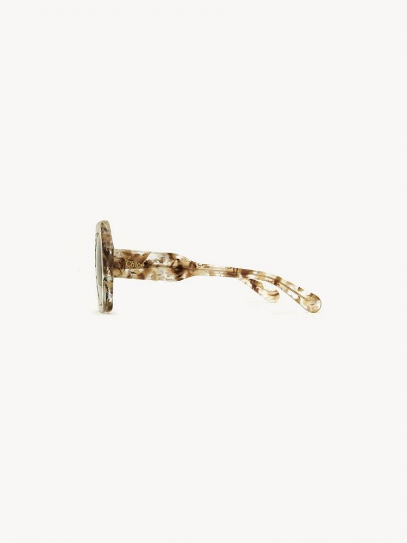 Chloe Gayia Zonnebril Bruin | CHE-SR14575