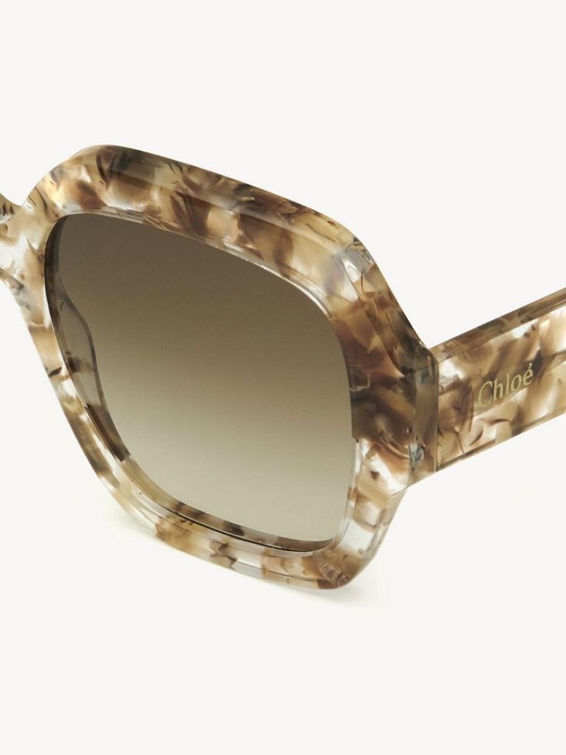 Chloe Gayia Zonnebril Bruin | CHE-SR14575