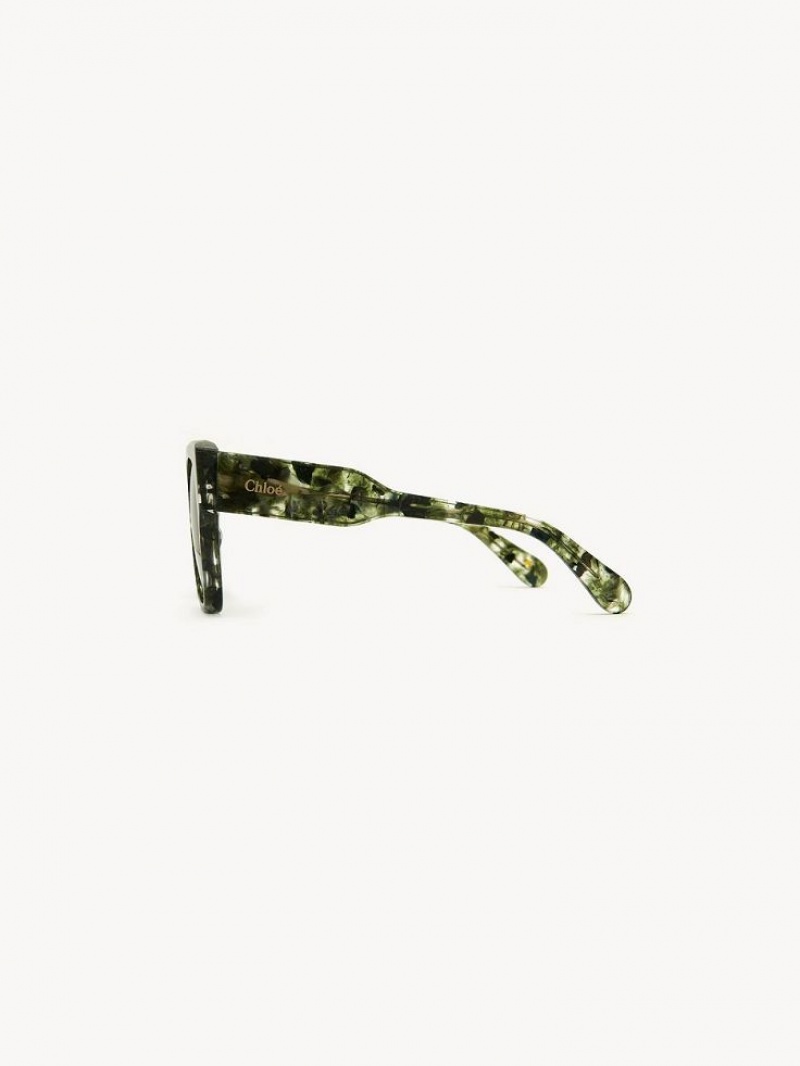 Chloe Gayia Zonnebril Groen | CHE-SR14580