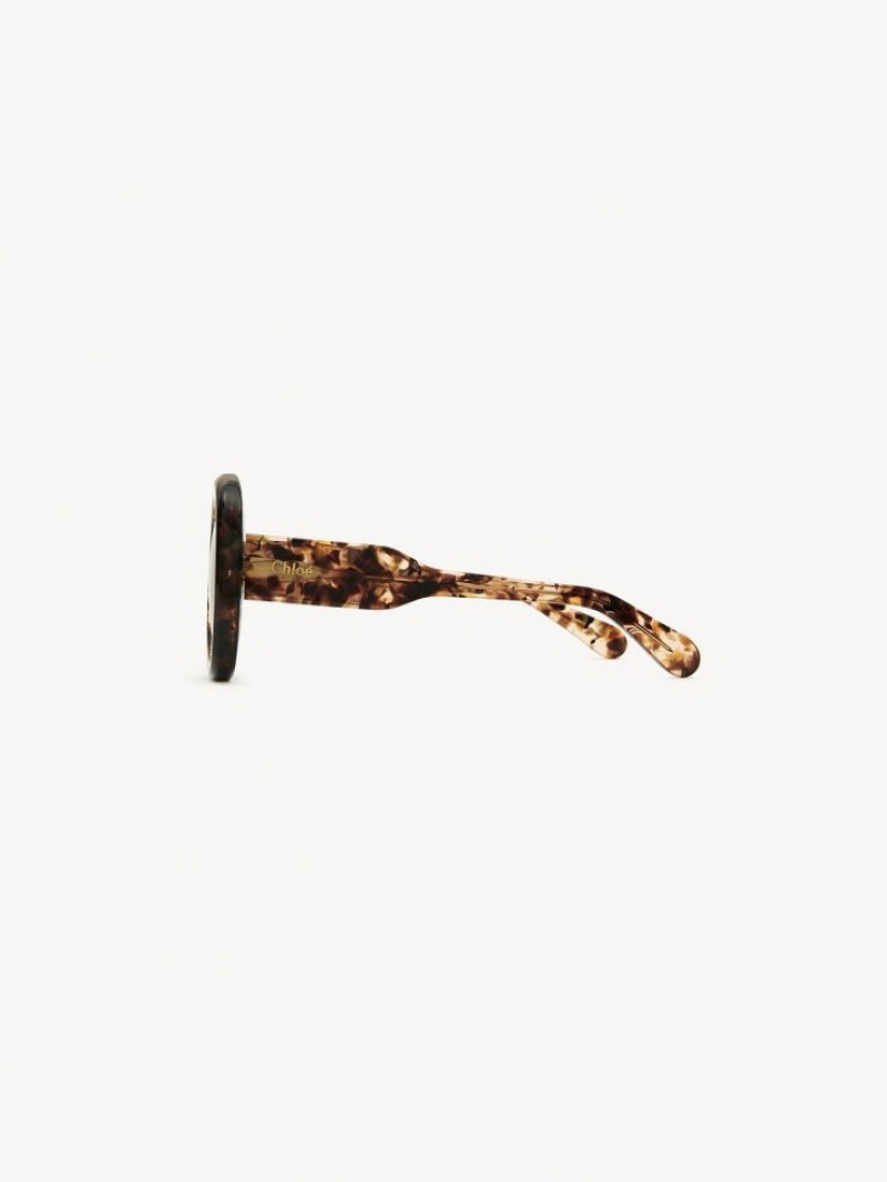Chloe Gayia Zonnebril Marble Havana | CHE-SR14578