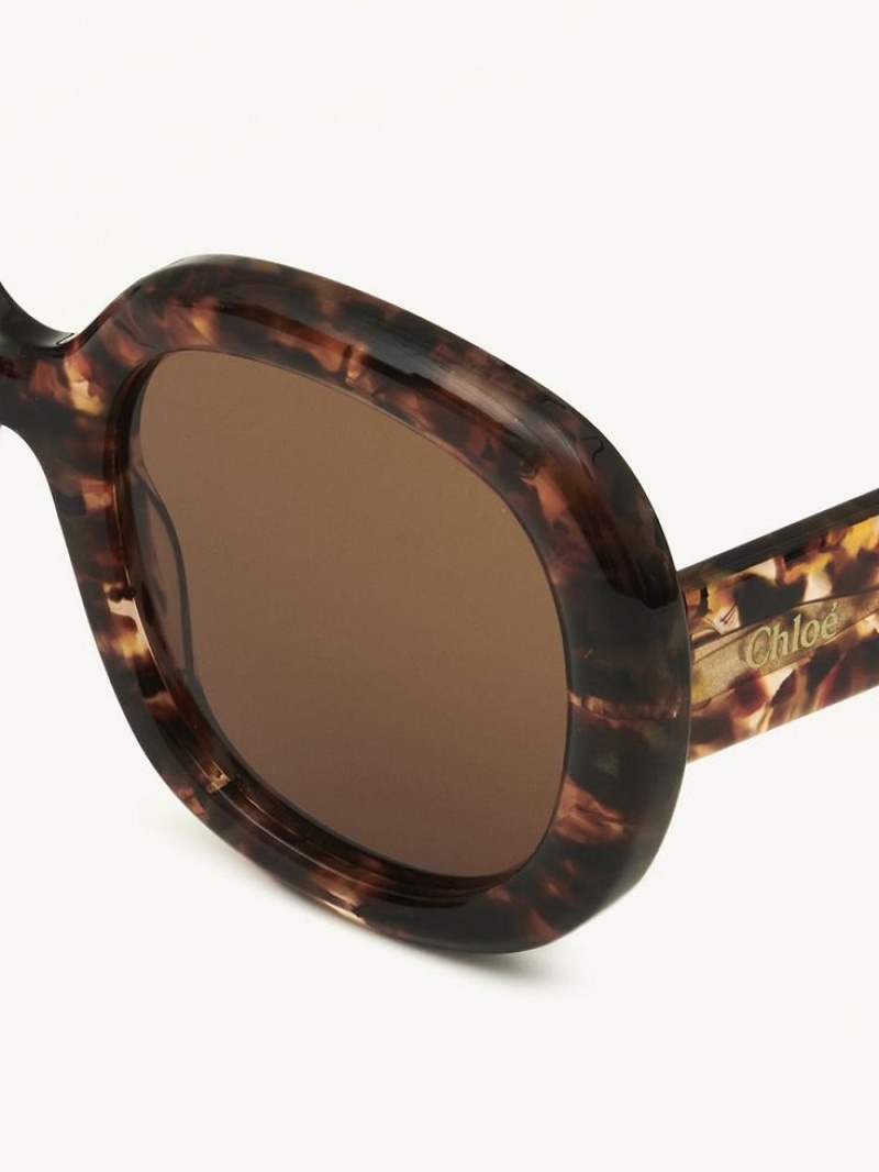 Chloe Gayia Zonnebril Marble Havana | CHE-SR14578