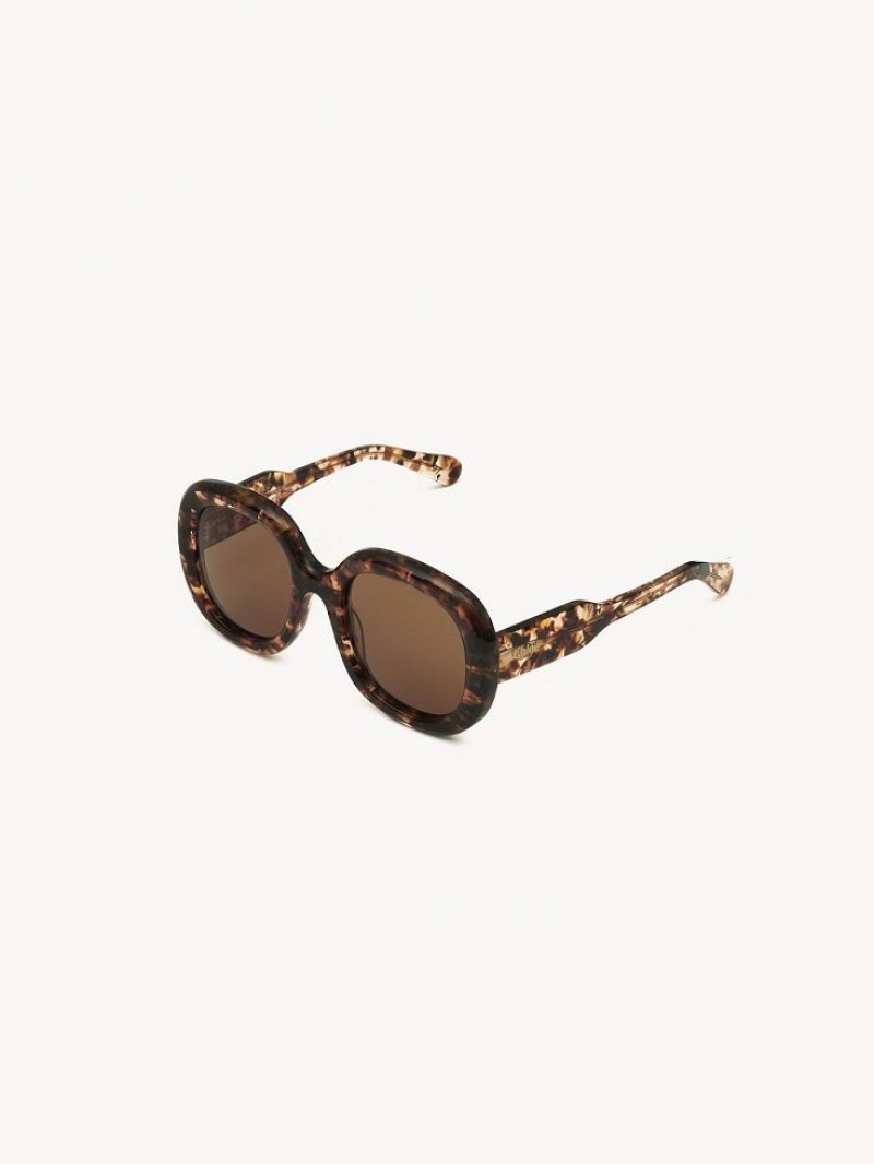 Chloe Gayia Zonnebril Marble Havana | CHE-SR14578
