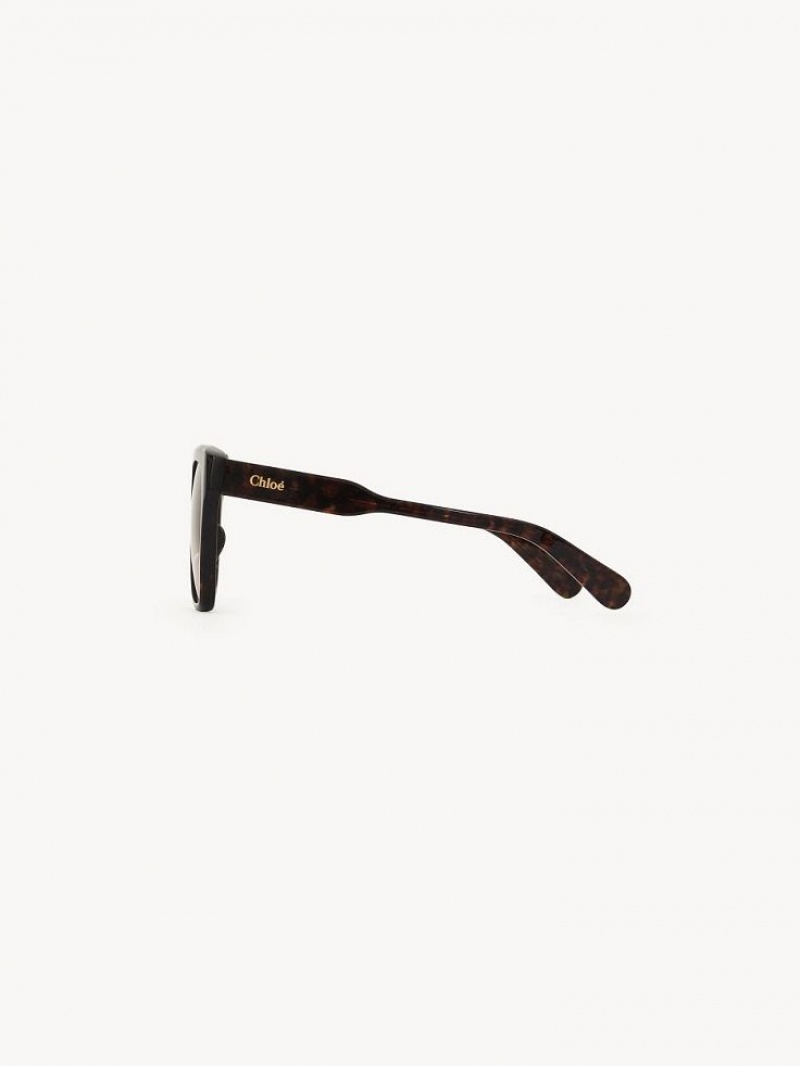 Chloe Gayia Zonnebril Zwart | CHE-SR14571