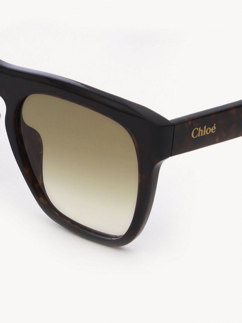 Chloe Gayia Zonnebril Zwart | CHE-SR14571