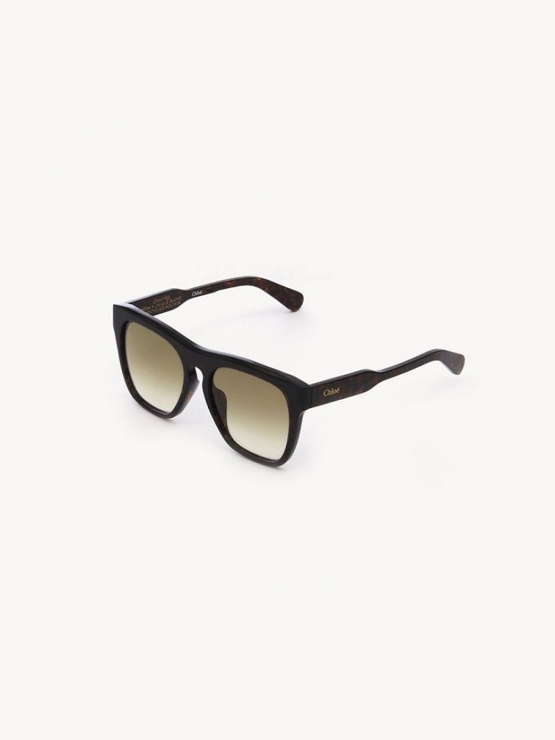 Chloe Gayia Zonnebril Zwart | CHE-SR14571