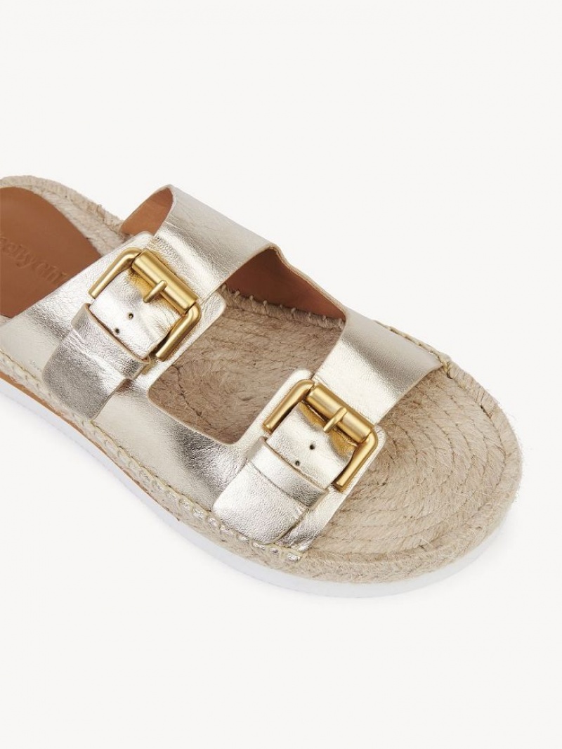 Chloe Glyn Platform Espadrilles Sandalen Zilver | CHE-SR14802