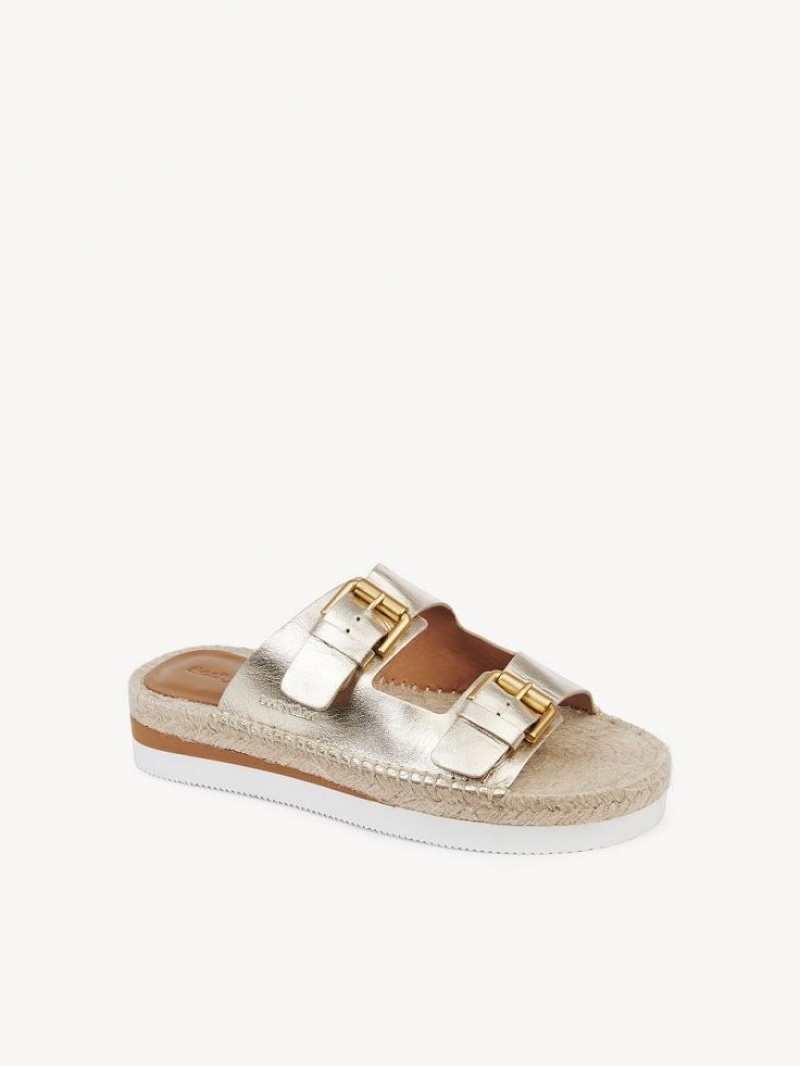 Chloe Glyn Platform Espadrilles Sandalen Zilver | CHE-SR14802