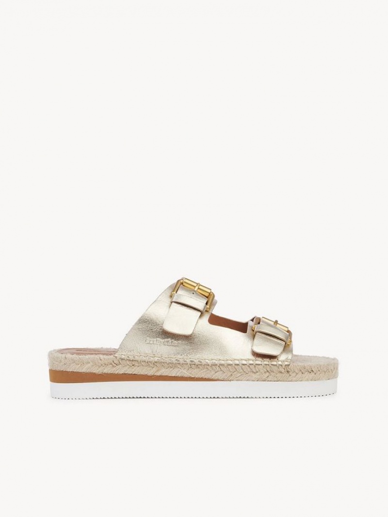 Chloe Glyn Platform Espadrilles Sandalen Zilver | CHE-SR14802