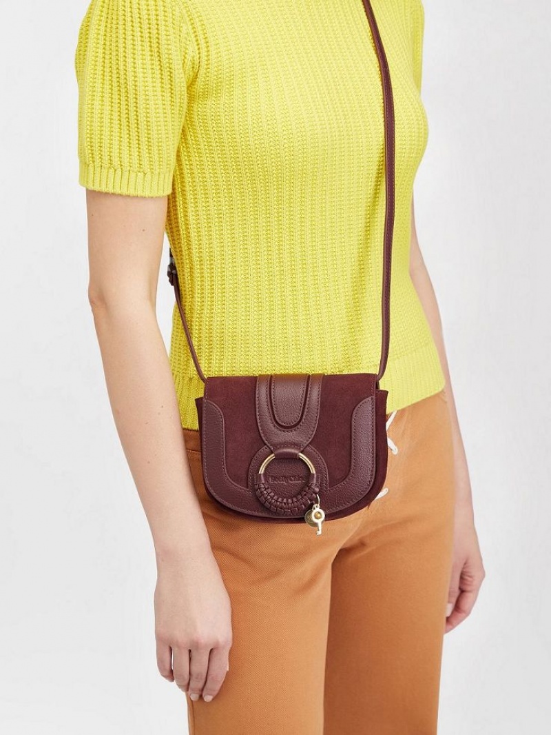 Chloe Hana Mini Schoudertassen Bruin | CHE-SR14586