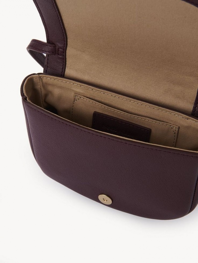 Chloe Hana Mini Schoudertassen Bruin | CHE-SR14691