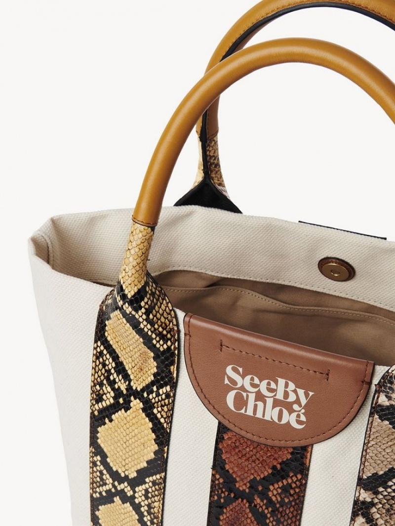 Chloe Laetizia Small Tote Tassen Bruin | CHE-SR14700