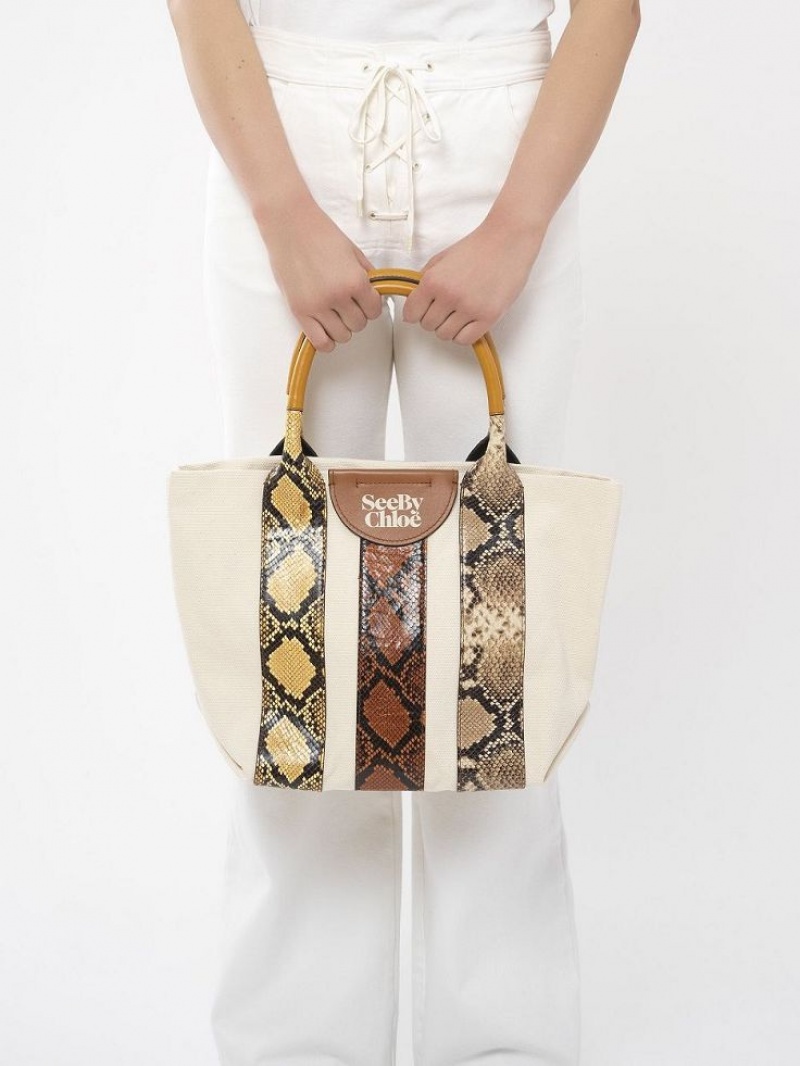 Chloe Laetizia Small Tote Tassen Bruin | CHE-SR14700