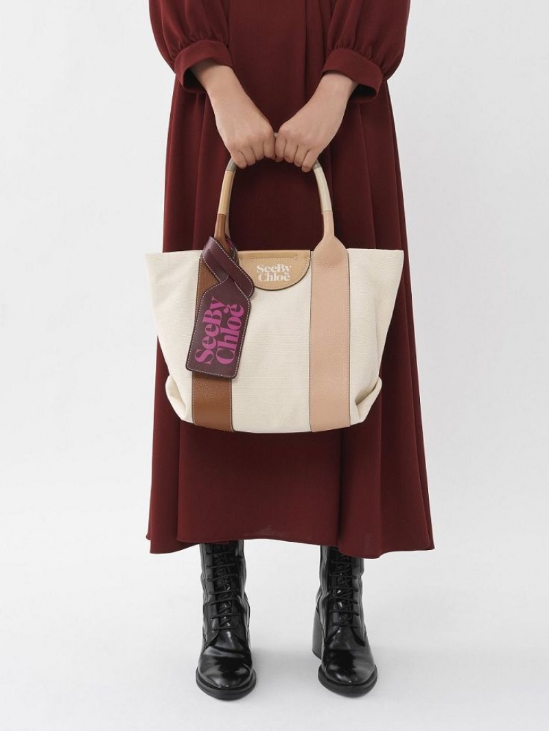 Chloe Laetizia Small Tote Tassen Bruin | CHE-SR14710