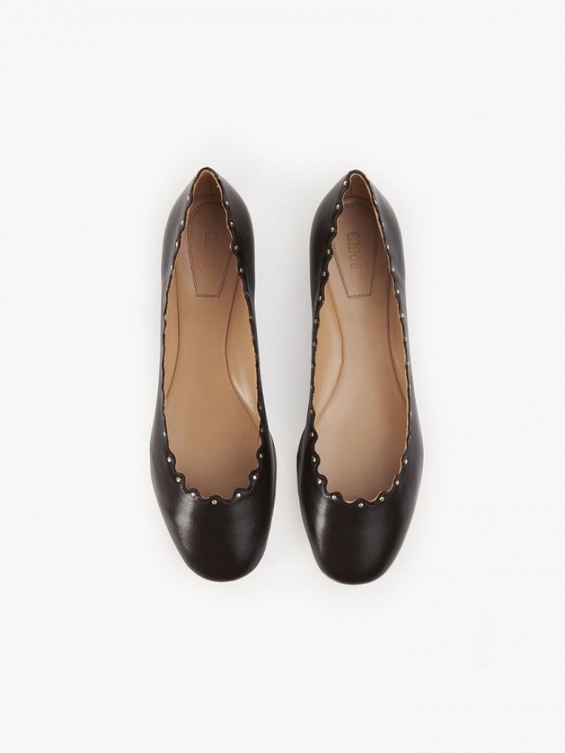 Chloe Lauren Ballet Flat Chocola | CHE-SR14253