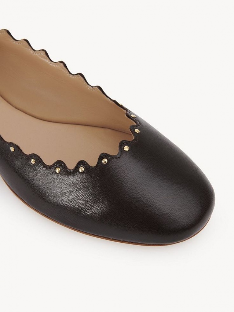 Chloe Lauren Ballet Flat Chocola | CHE-SR14253