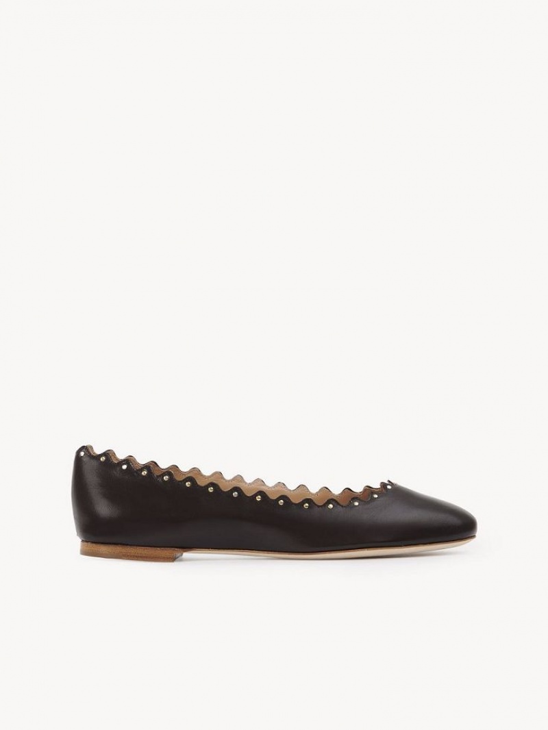 Chloe Lauren Ballet Flat Chocola | CHE-SR14253