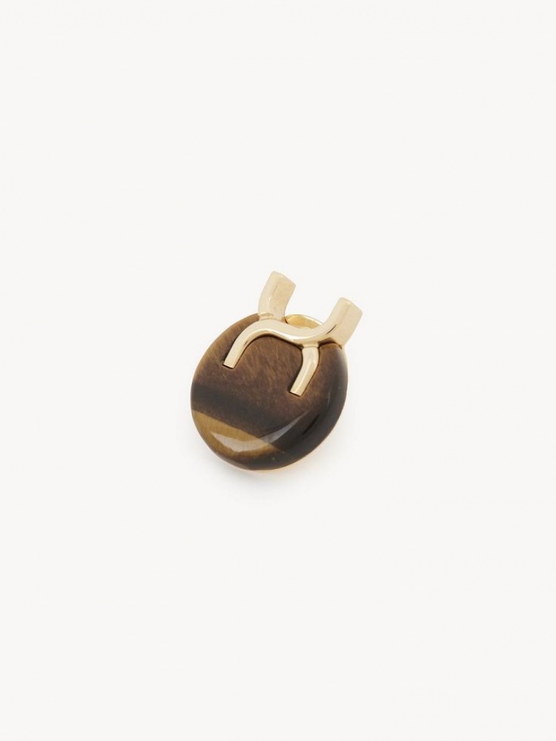Chloe Marcie Clip-on Oorbellen Goud | CHE-SR14448