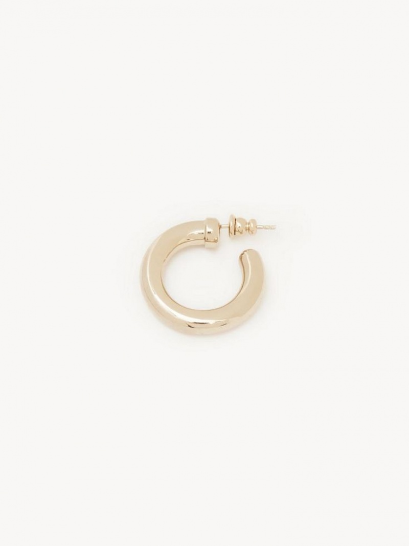 Chloe Maura Hoops Oorbellen Goud | CHE-SR14359