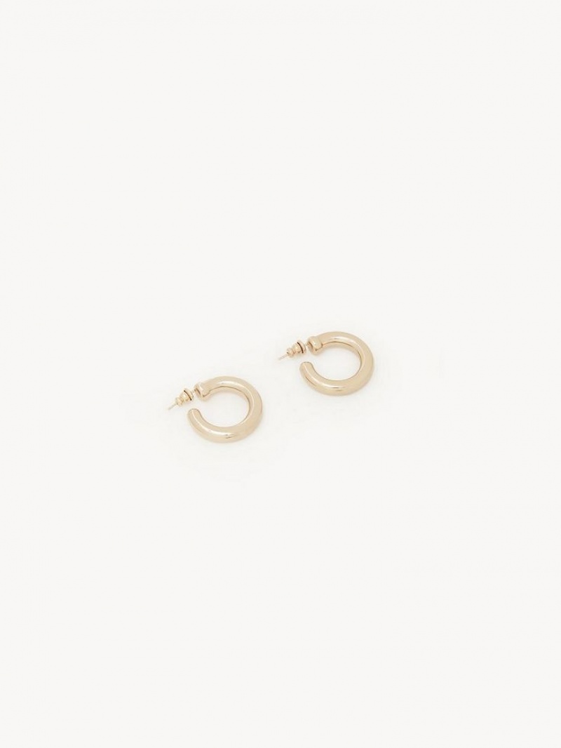 Chloe Maura Hoops Oorbellen Goud | CHE-SR14359