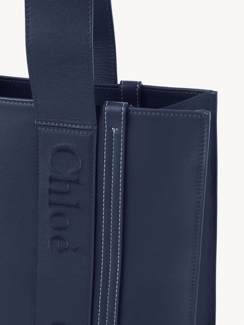 Chloe Medium Woody Schoudertassen Blauw | CHE-SR13432