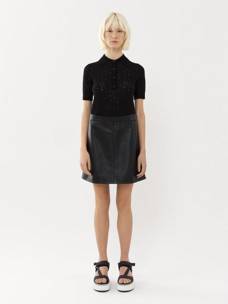 Chloe Mini Skirt Leather Zwart | CHE-SR14112