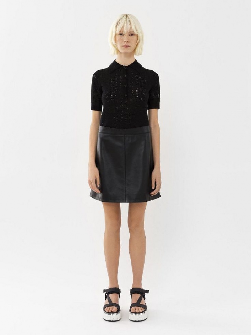 Chloe Mini Skirt Leather Zwart | CHE-SR14112