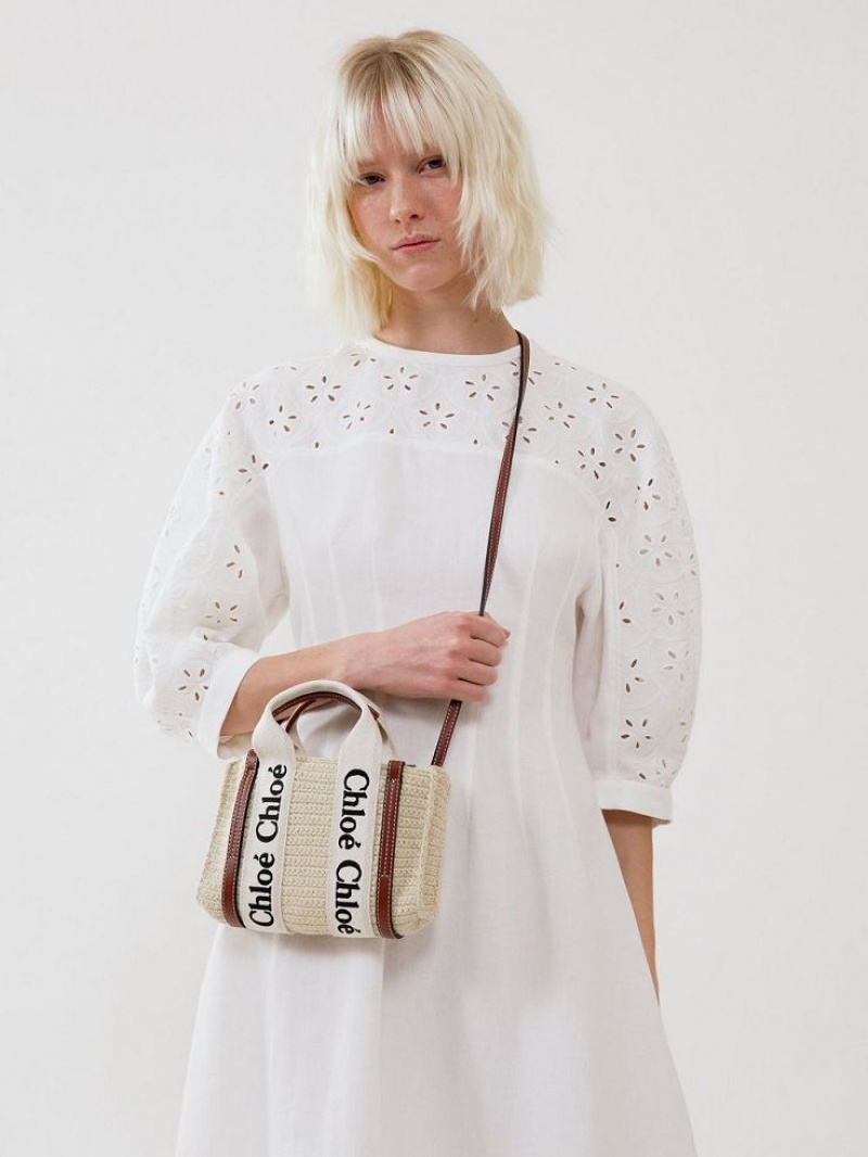 Chloe Mini Woody Crossbodytassen Bruin Beige | CHE-SR13585