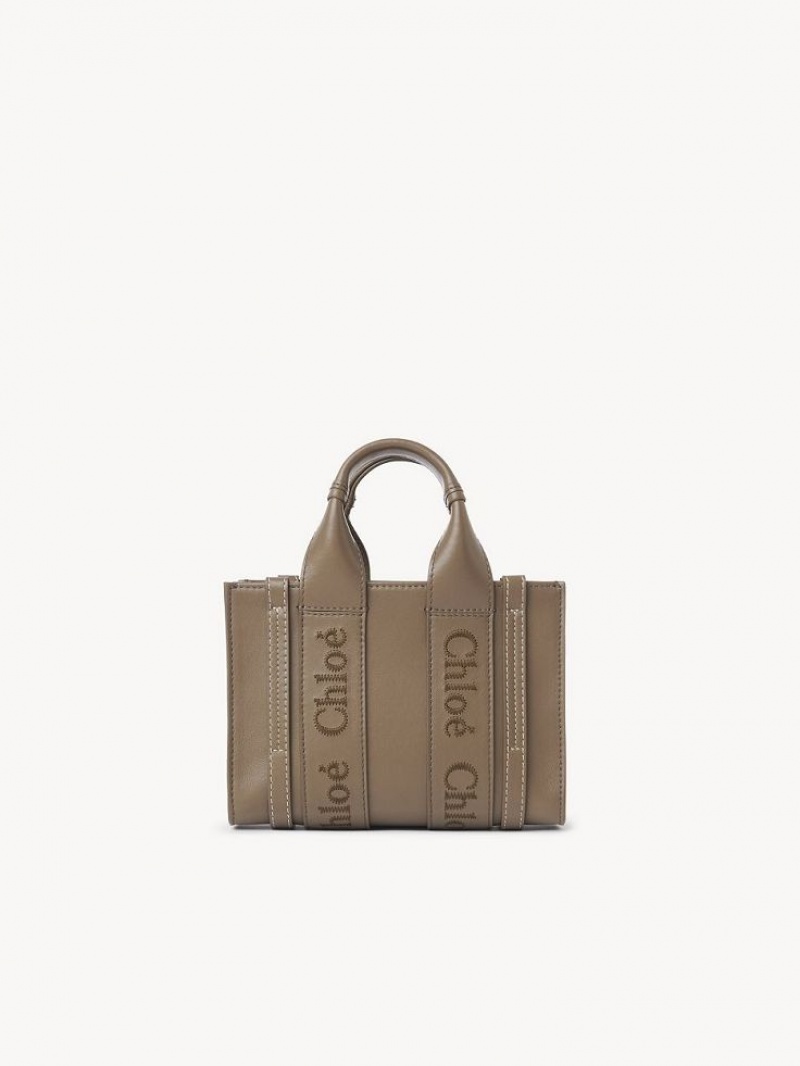Chloe Mini Woody Crossbodytassen Groen | CHE-SR13521