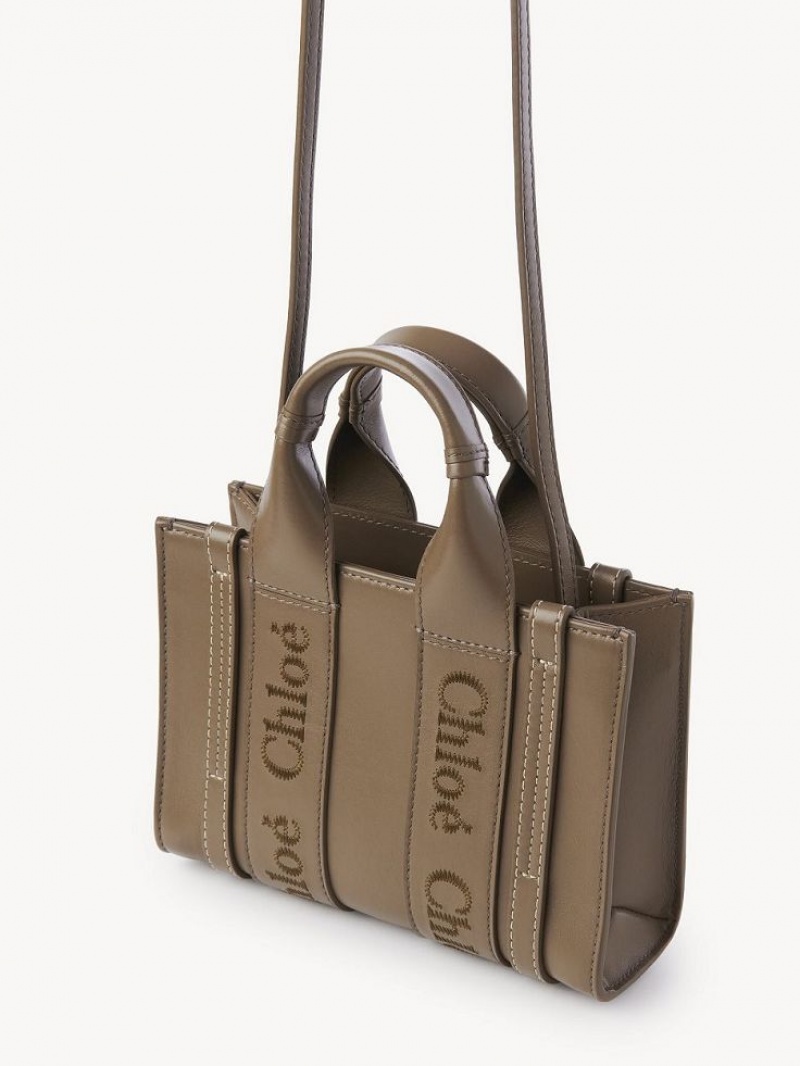Chloe Mini Woody Crossbodytassen Groen | CHE-SR13521