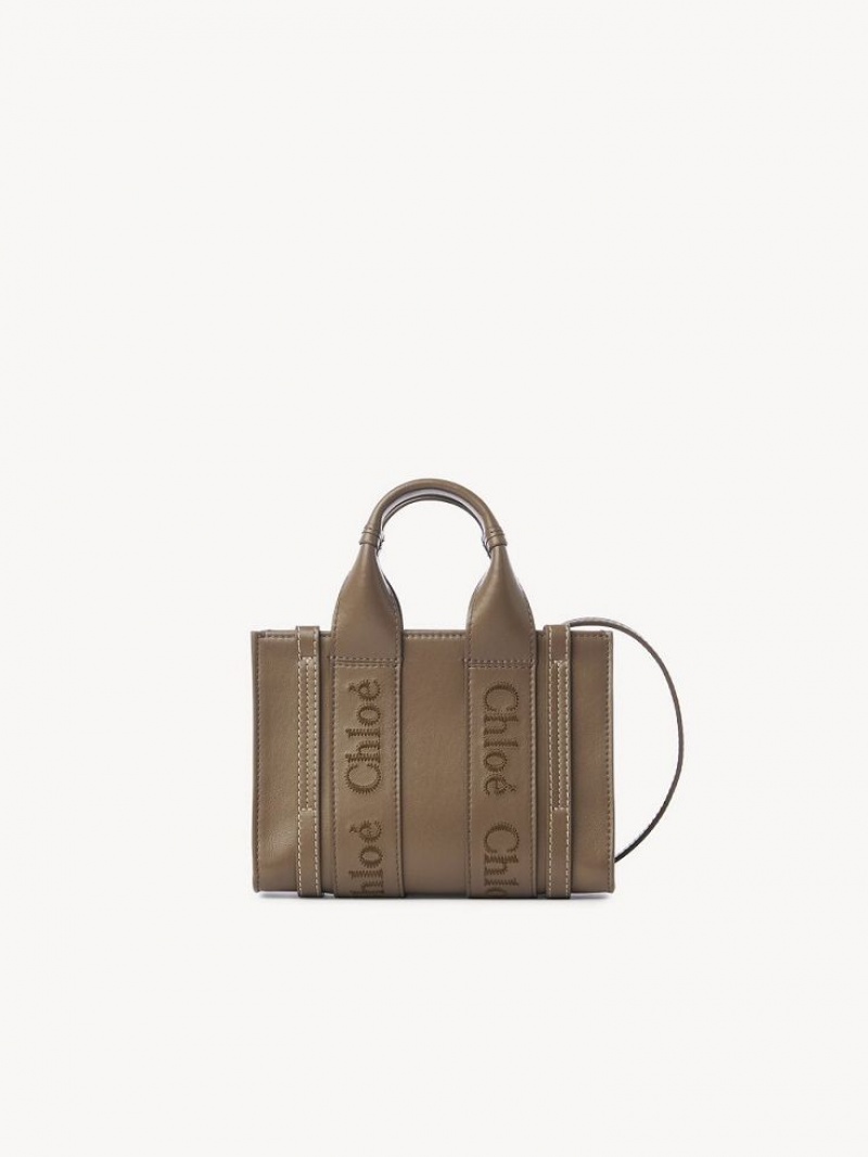 Chloe Mini Woody Crossbodytassen Groen | CHE-SR13521