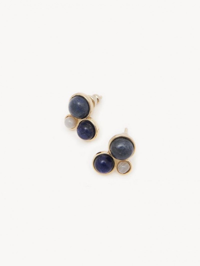 Chloe Ora Oorbellen Gekleurd | CHE-SR14415