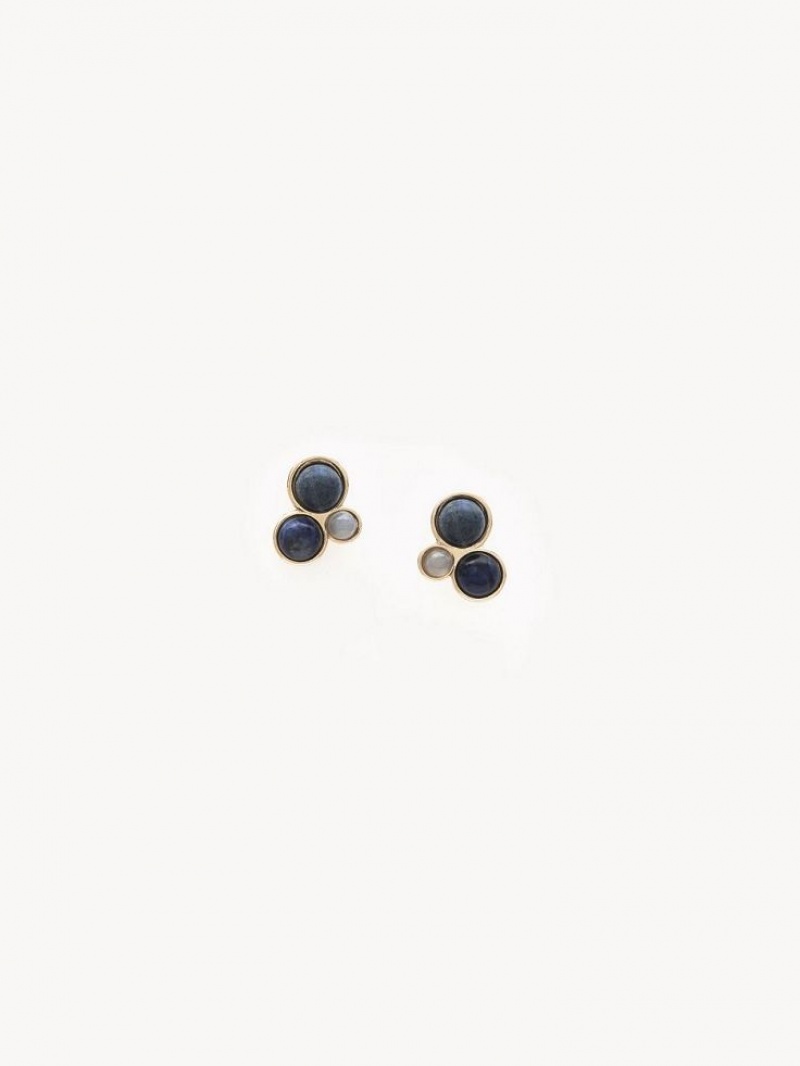 Chloe Ora Oorbellen Gekleurd | CHE-SR14415