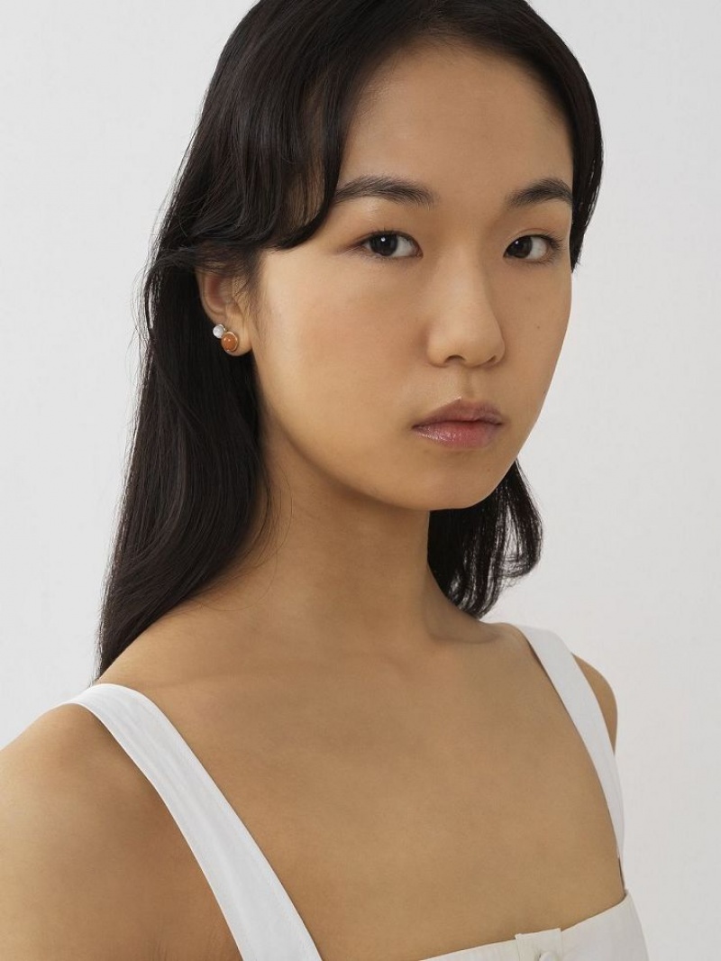 Chloe Ora Oorbellen Gekleurd | CHE-SR14418