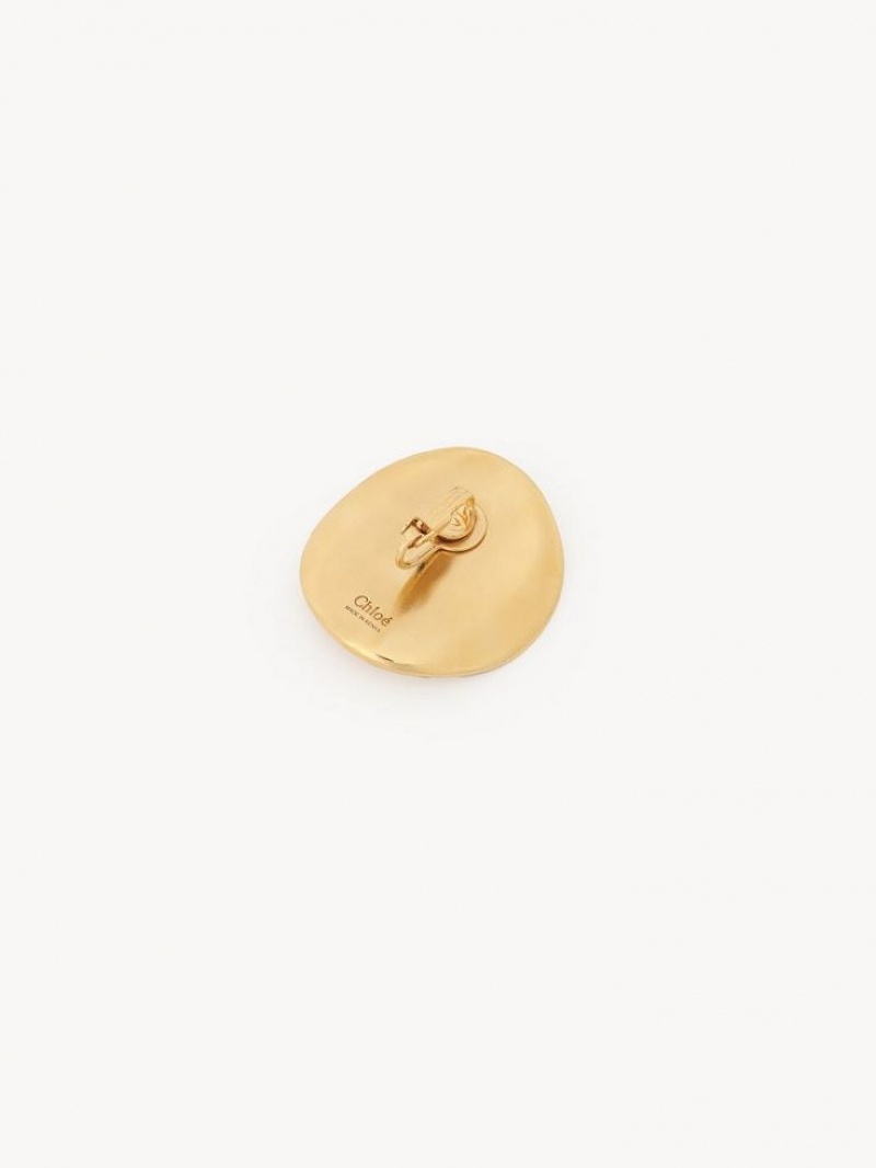 Chloe Penelope Coin Oorbellen Lichtgoud | CHE-SR14455