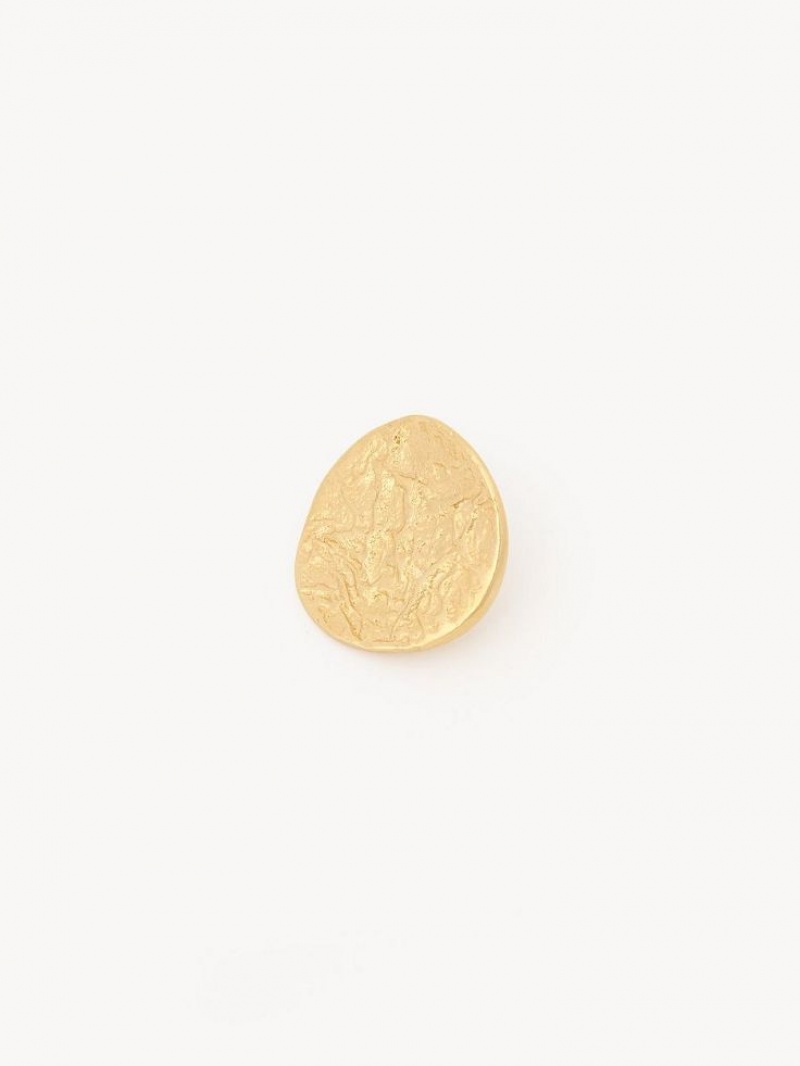 Chloe Penelope Coin Oorbellen Lichtgoud | CHE-SR14455